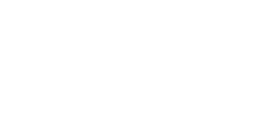 سرکاری پیمنٹ logo